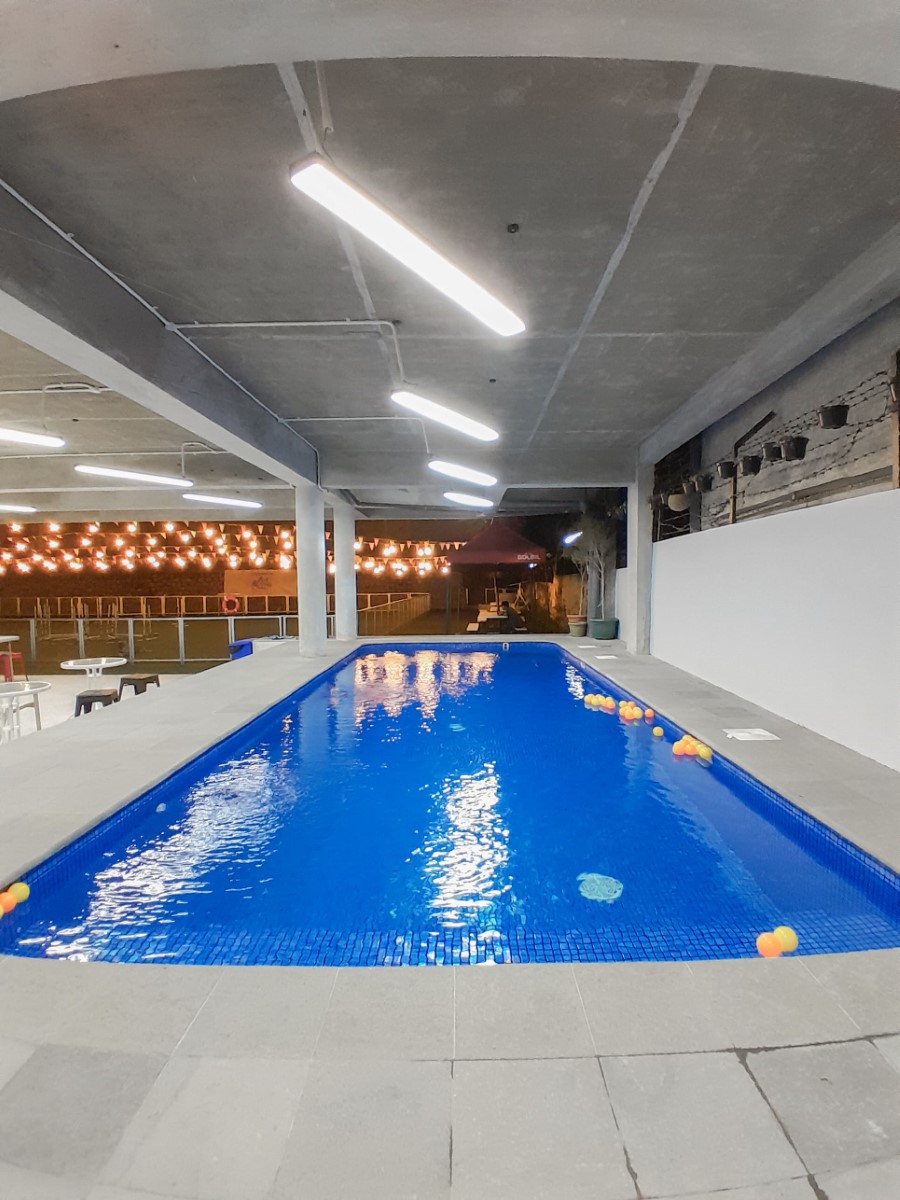 Dog Pool